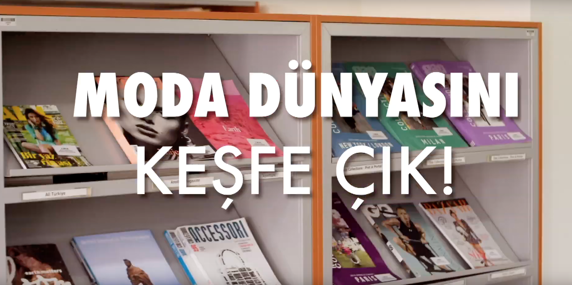 Yaz Okulu Programları